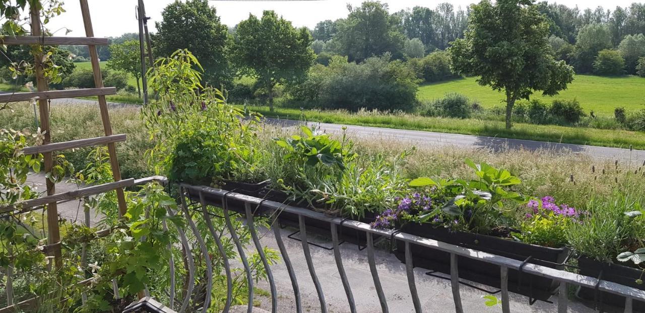 Ferienwohnung Niederrhein วีเซิล ภายนอก รูปภาพ